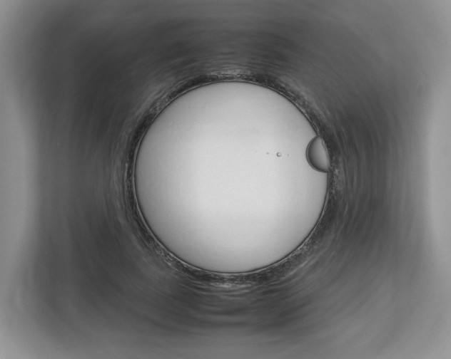 X0000113010739200908270939