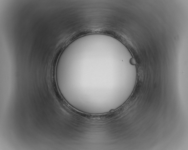 X0000113010740200908270939