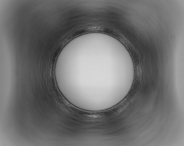 X0000113010741200908270939