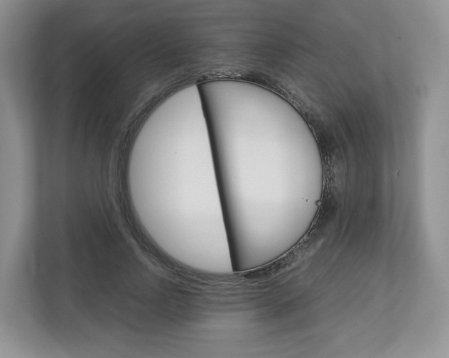 X0000113010742200908270939