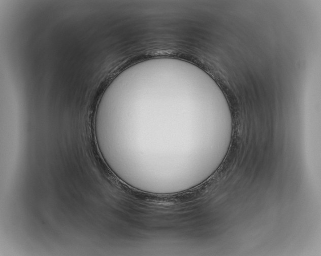 X0000113010743200908270939