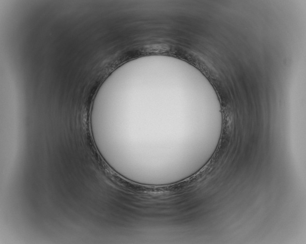 X0000113010745200908270939