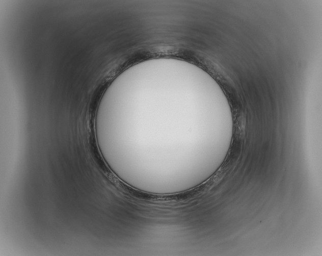 X0000113010746200908270939