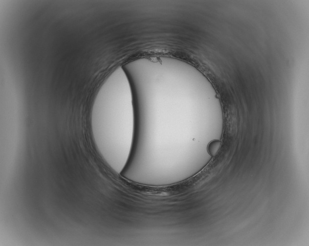 X0000113010747200908270939