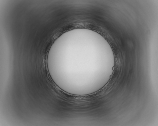 X0000113010749200908270939