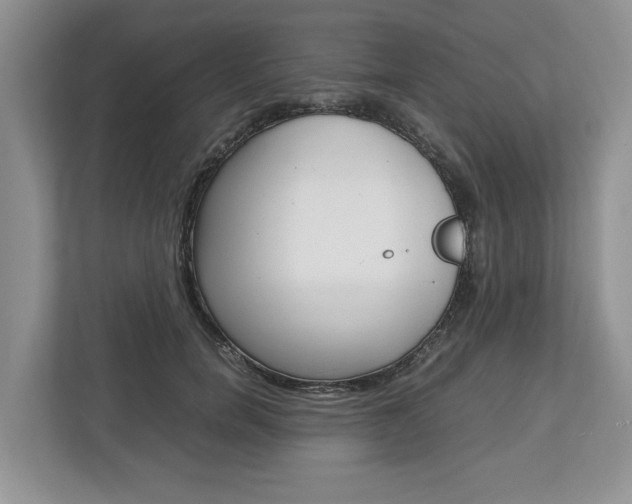 X0000113010750200908270939