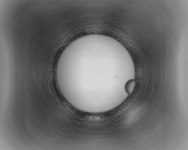 X0000113010751200908270939