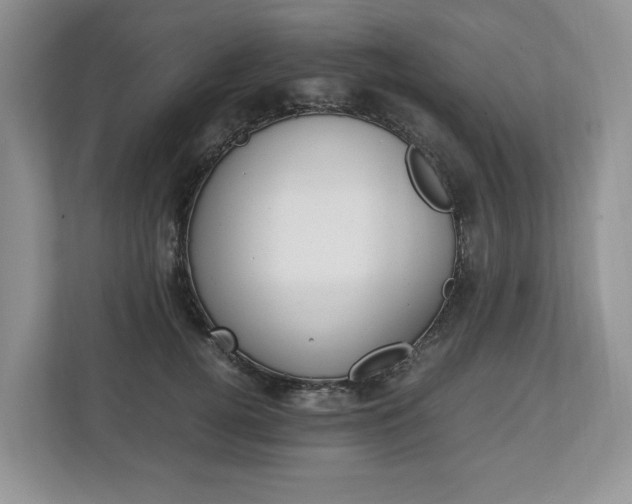 X0000113010752200908270939