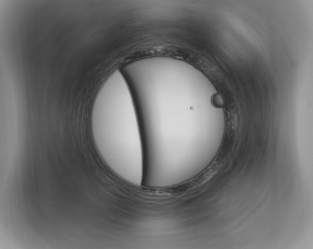 X0000113010754200908270939