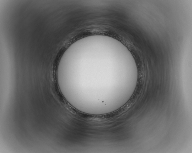 X0000113010755200908270939