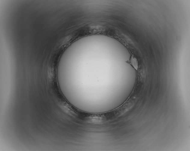X0000113010756200908270939