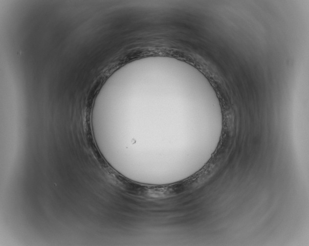 X0000113010757200908270939
