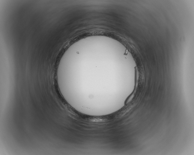 X0000113010759200908270939