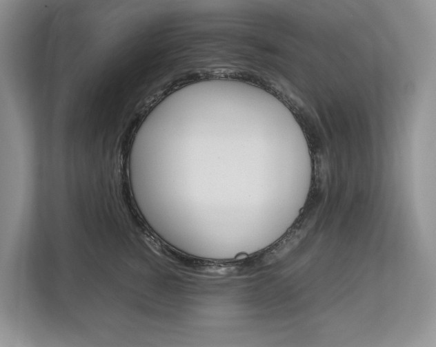 X0000113010760200908270939