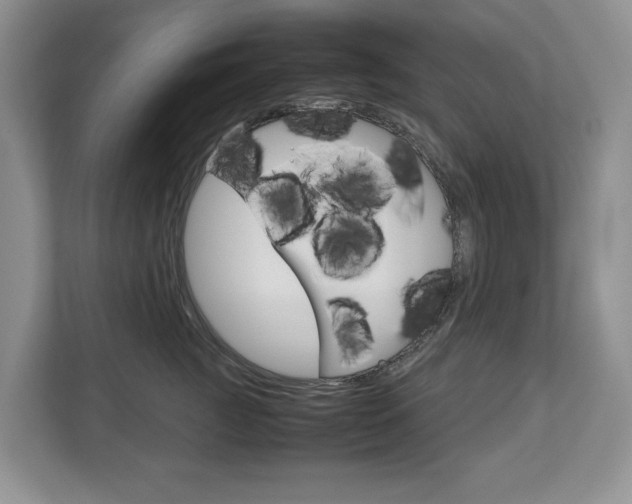X0000113010761200908270939