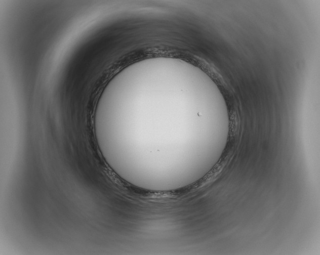 X0000113010762200908270939