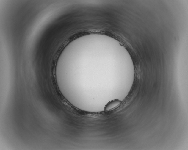 X0000113010763200908270939