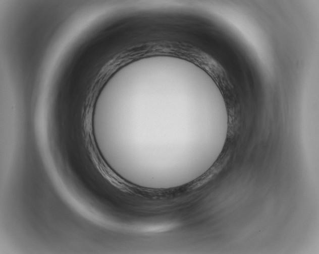 X0000113010765200908270939