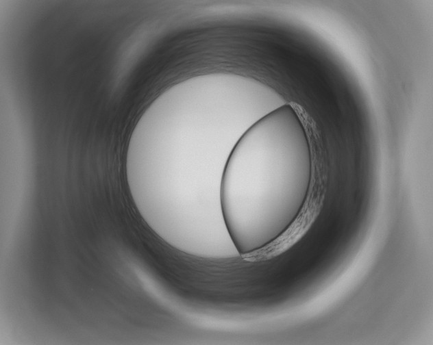 X0000113010766200908270939