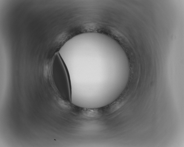 X0000113010768200908270939