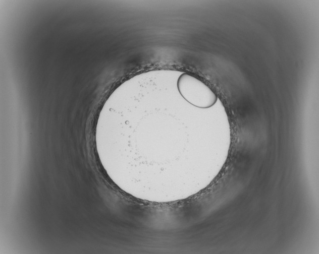 X0000113010769200908270939