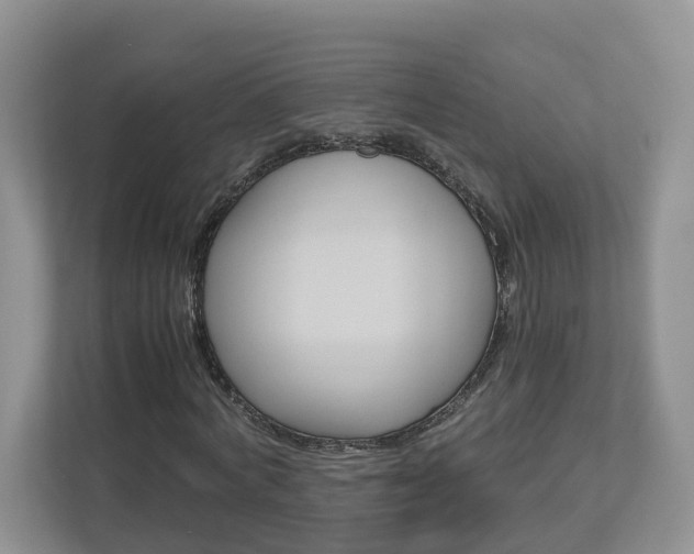 X0000113010772200908270939