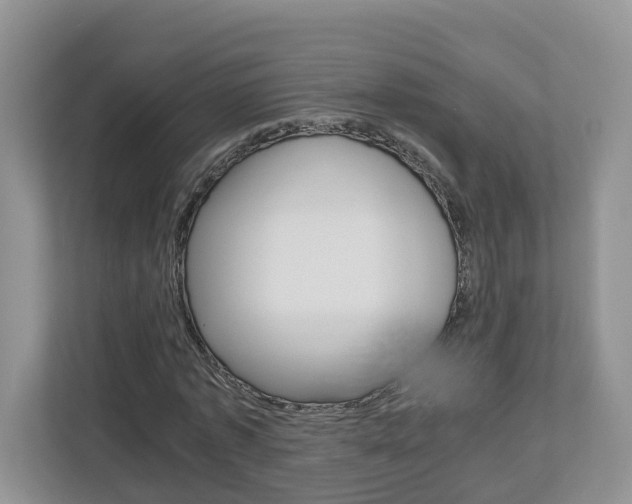X0000113010773200908270939