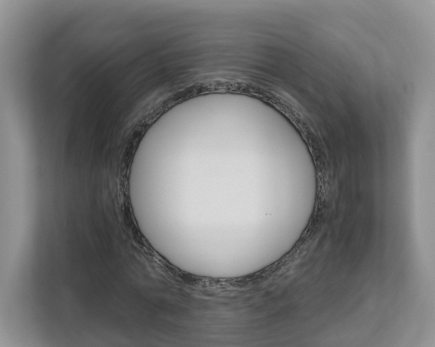 X0000113010774200908270939
