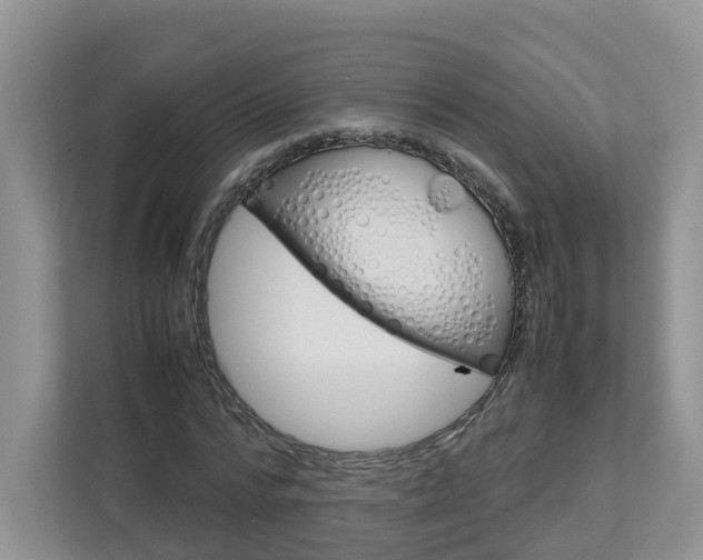 X0000113010776200908270939