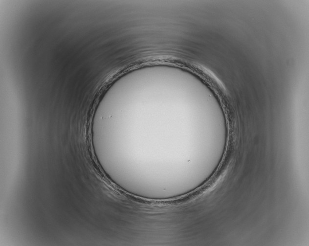 X0000113010777200908270939