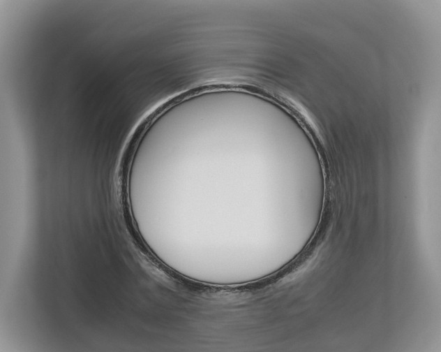 X0000113010779200908270939