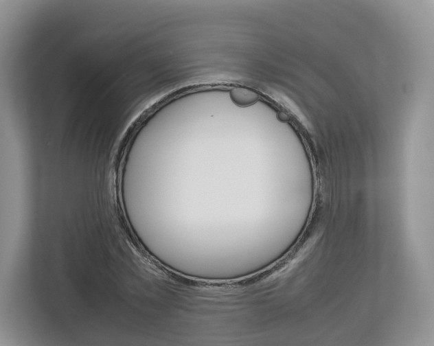 X0000113010781200908270939