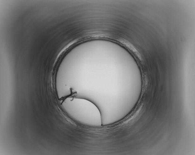 X0000113010782200908270939