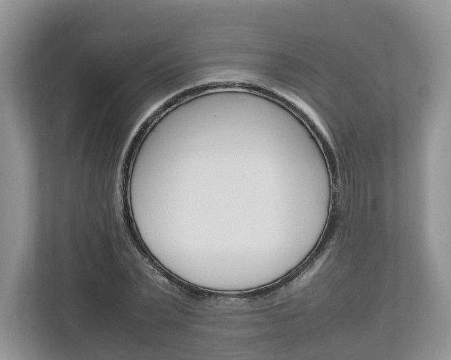X0000113010783200908270939