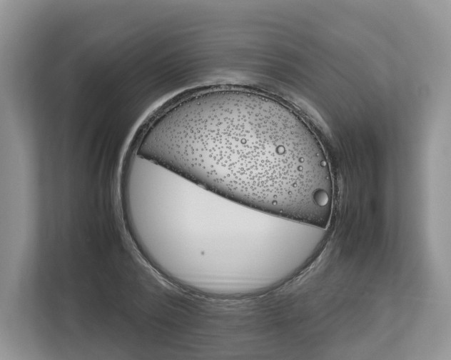 X0000113010784200908270939