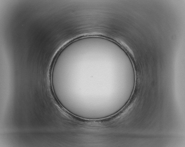 X0000113010789200908270939