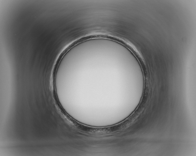 X0000113010791200908270939