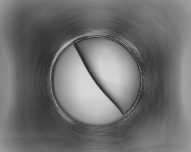 X0000113010792200908270939