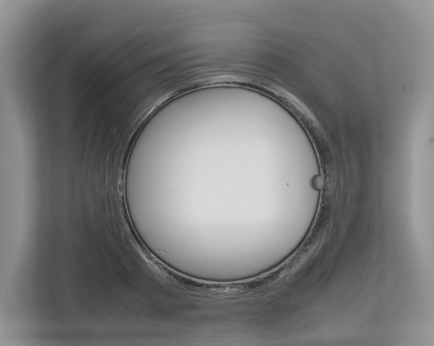 X0000113010793200908270939