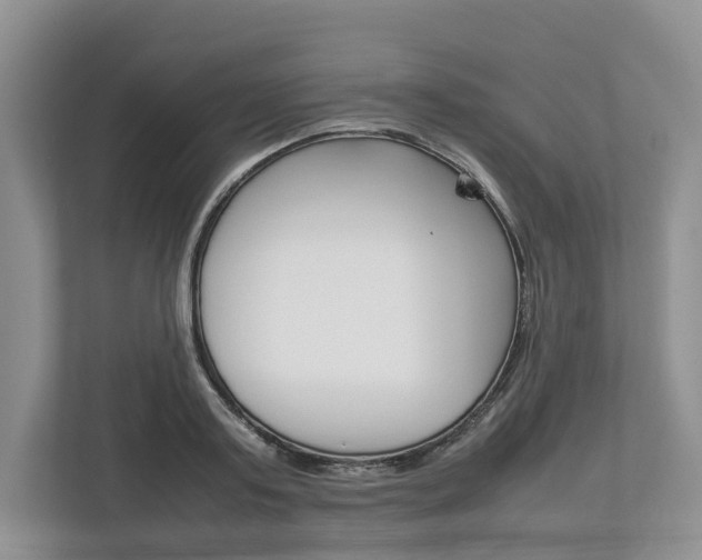 X0000113010795200908270939