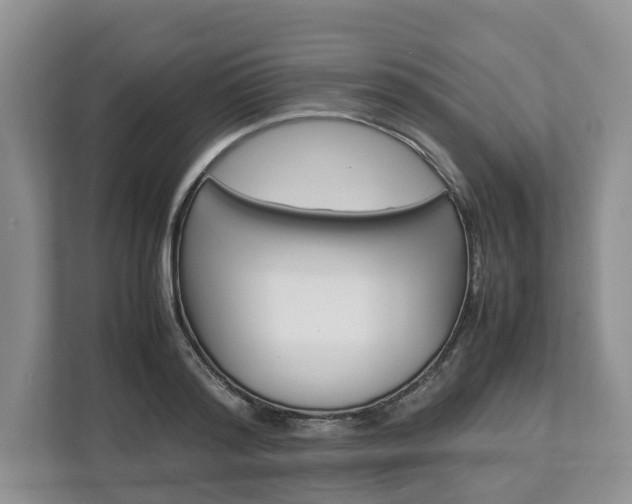 X0000113010796200908270938