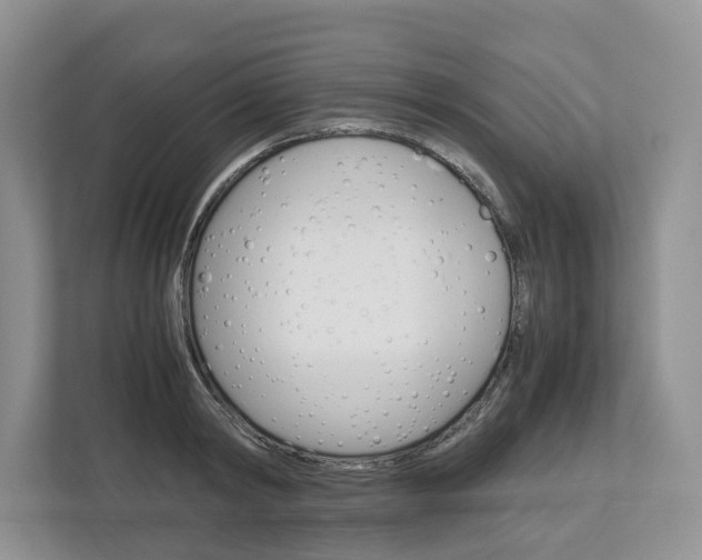 X0000113010798200908270938
