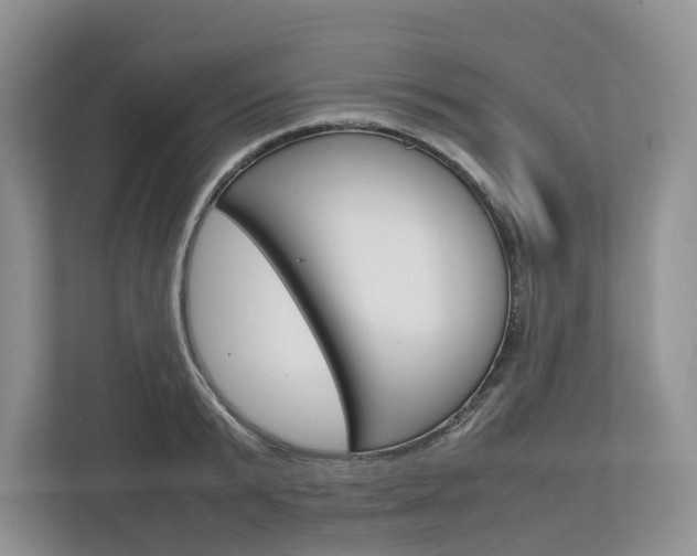 X0000113010799200908270938
