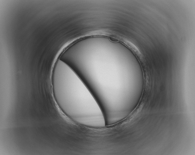X0000113010800200908270938