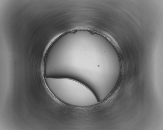 X0000113010804200908270938