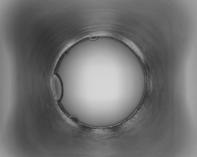 X0000113010805200908270938