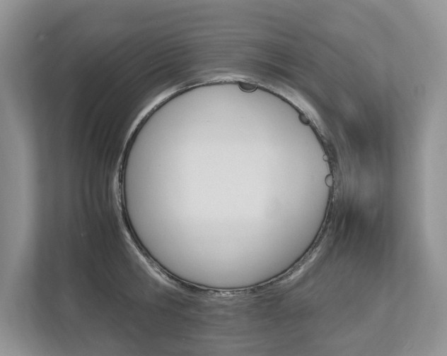 X0000113010806200908270938