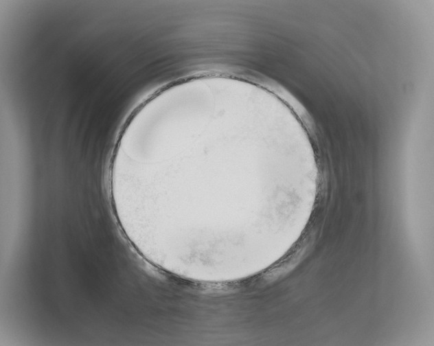 X0000113010807200908270938