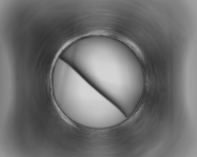X0000113010808200908270938