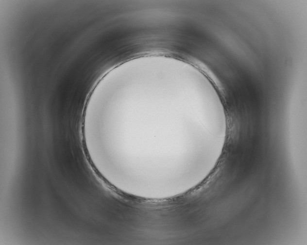 X0000113010810200908270938